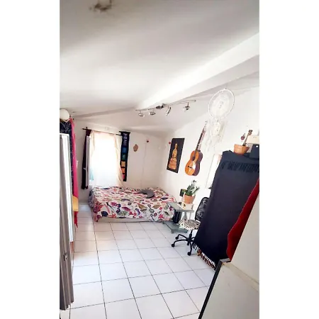 Lumineux Et Cosy En Plein Coeur De Apartment